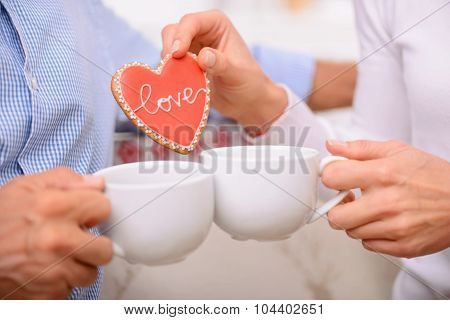 Adult couple resting at home