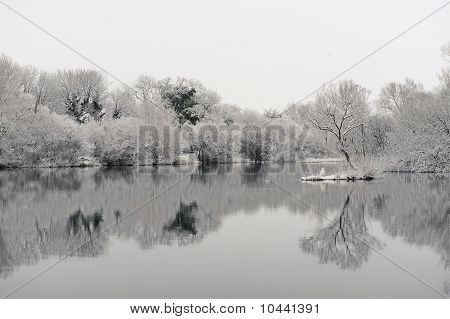 Neve carregado árvores ao redor do Lago no inverno durante uma onda de luz
