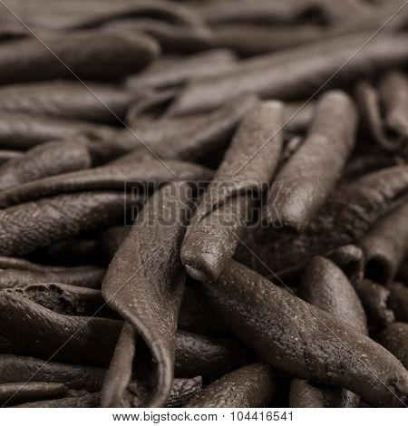 Seppia Pasta Fusilli
