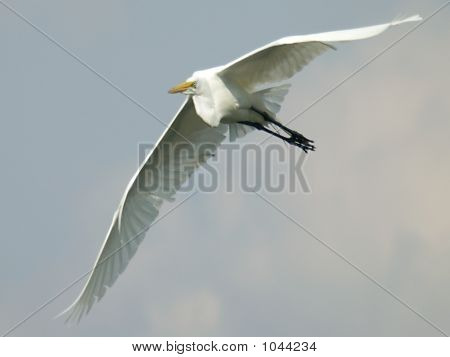 Aviones 1