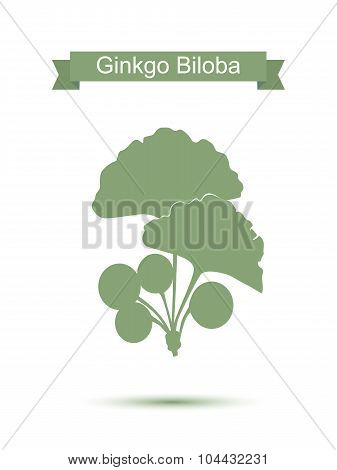 Ginkgo biloba stylizes leaves.  Silhouette of ginkgo twig