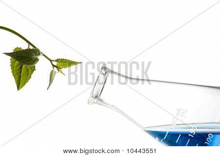 Biokemi