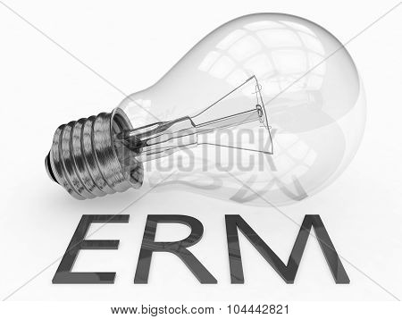 Erm Concept