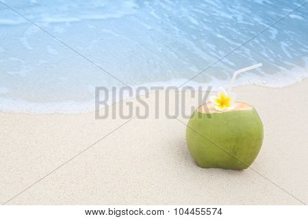 Tropical Coconut Refreshment