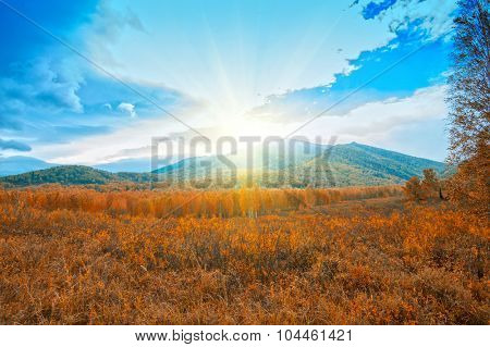 taiga and mountains in beauty autumn day