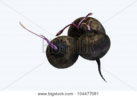Three Beet