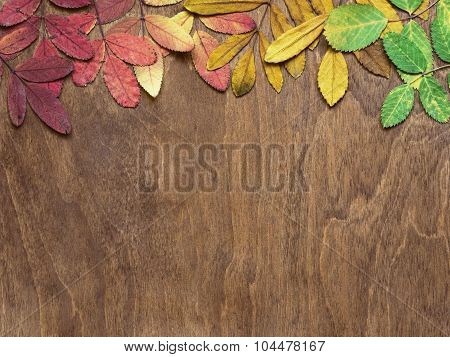 Autumn leaves on brown wooden background