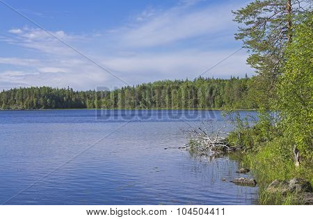 Lake In Karelia.