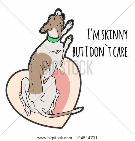 Illustration of a very thin Italian greyhound
