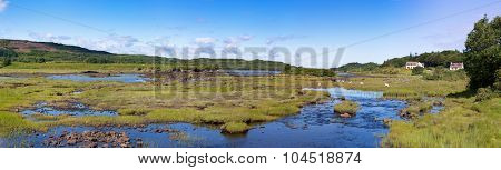 A panorama of sheep grazing on the wetlands of the Island Community of Mull, Isle of mull, Inner Hebrides, Scotland. 