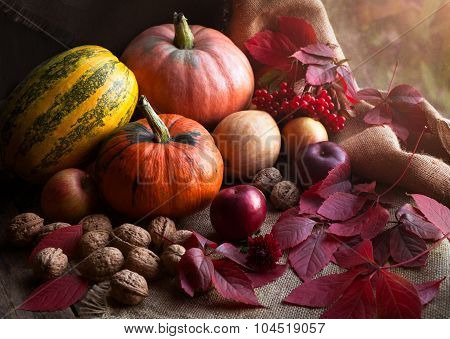 Autumn food design decoration composition with rustic harvest. Pumpkin, nuts, apples, and red leaves