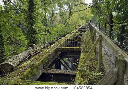 Lower Lydbrook Railway Bridge