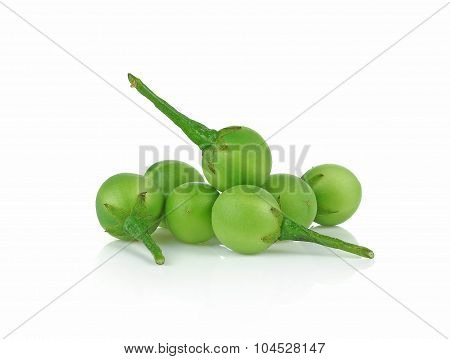 Solanum Torvum On White Background
