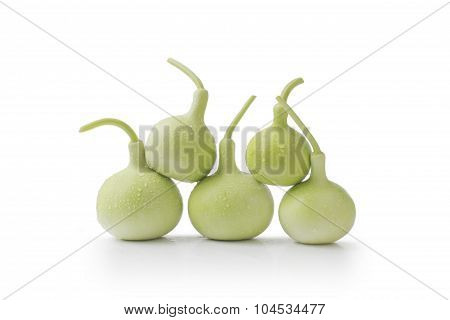 calabash