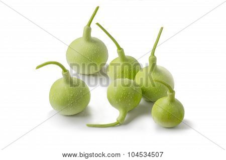 calabash