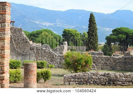 A view into a garden of Pompeii