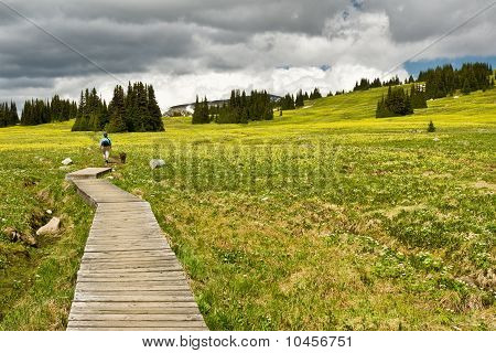 Hiker on a boardwalk