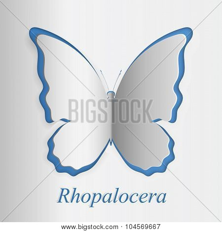 3D Papercut Butterfly In Blue And White Colors. Latine Name Rhopalocera Is Added.