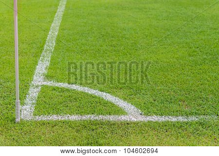 Green Grass Conner Of Football Field