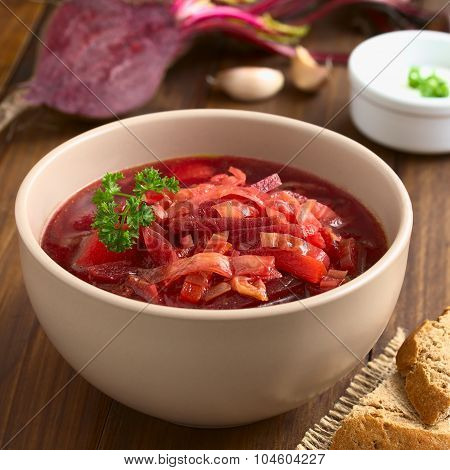 Vegetarian Borscht Soup