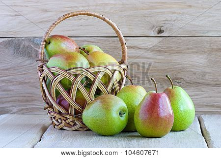 Ripe Pears Autumn Still Life
