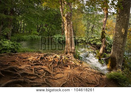 Waterfall in Plitvice Lakes National Park, Croatia
