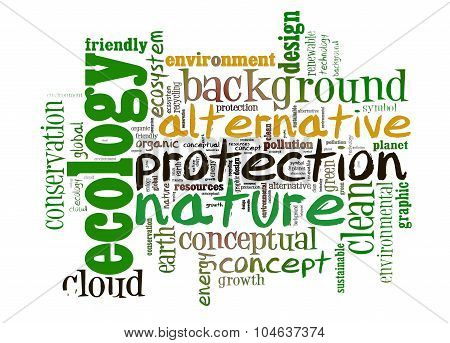 Word Cloud Concept  Of Ecology