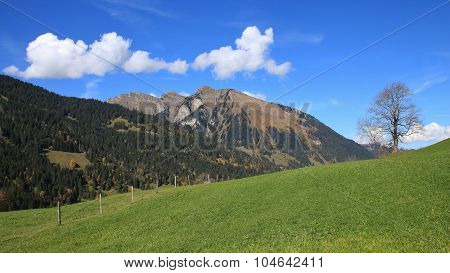 Idyllic Autumn Landscape Near Gstaad