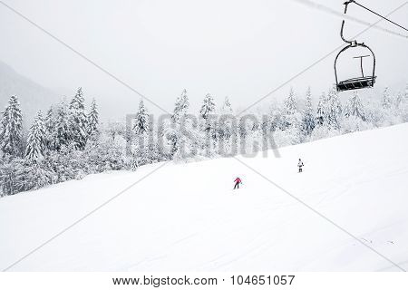 KOLASIN, MONTENEGRO - FEBRUARY 1: Ski slopes among coniferous forest in 'Kolasin 1450' mountain ski