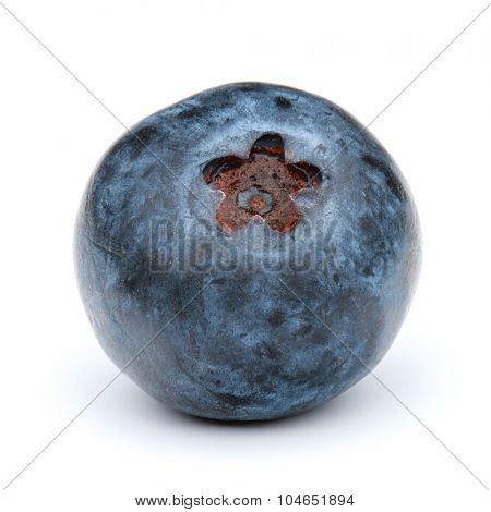 blueberry or bilberry or blackberry or blue whortleberry or huckleberry isolated on white background cutout