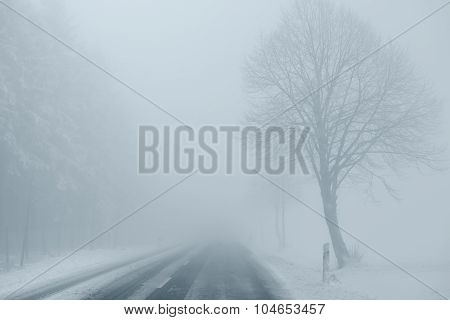 Foggy Winter Road