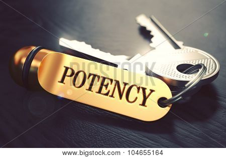Potency - Bunch of Keys with Text on Golden Keychain.