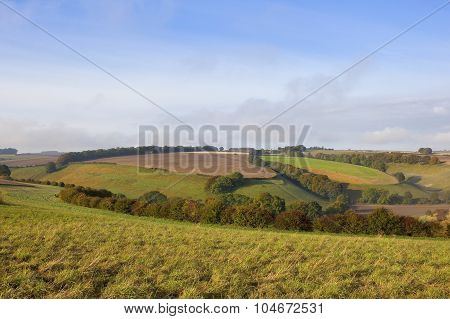 Patchwork Fields