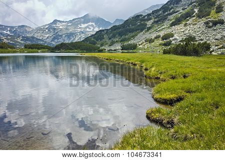 Amazing view of  green meadows around Muratovo lake