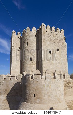 Calahorra Tower, Cordoba, Andalucia, Spain