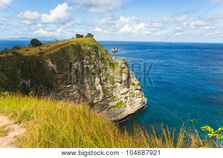 Rock In The Ocean