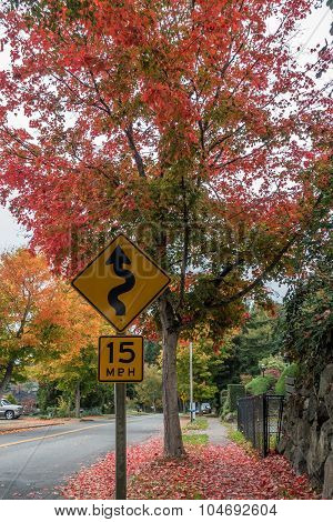 Autumn Street Sign