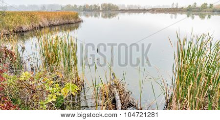 foggy fall day in wetlands - Riverbend Ponds Natural Area, Fort Collins, Colorado