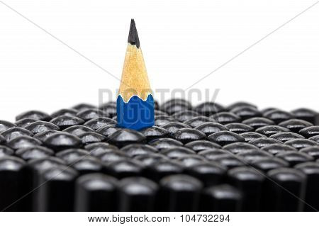 One Pencil Among Many Pencil