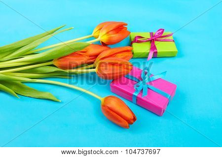 Flowers Red Tulips