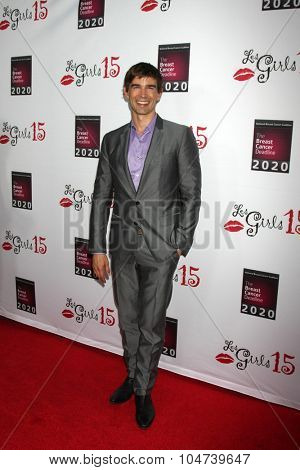 LOS ANGELES - OCT 11:  Christopher Gorham at the Les Girls 15 at the Avalon Hollywood on October 11, 2015 in Los Angeles, CA