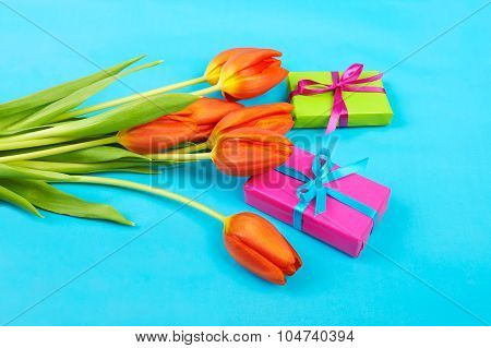 Flowers Red Tulips