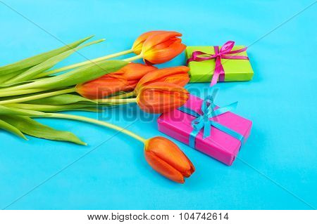 Flowers Red Tulips