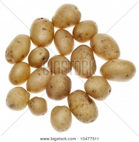 Batatas de alevinos