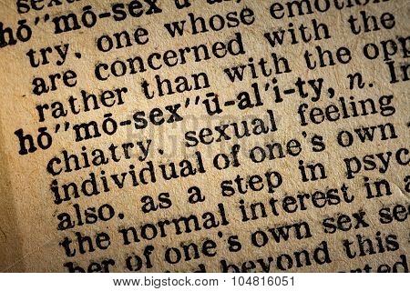 Close-up Of The Word Homosexuality And Its Definition