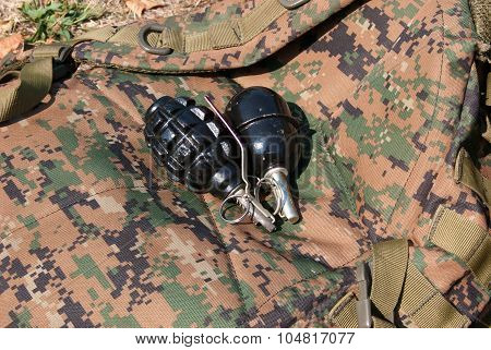 Man holding a hand grenade in his hand