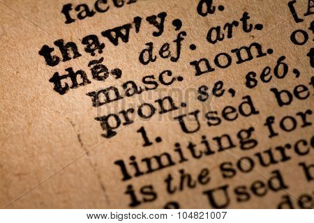 Close-up Of An Opened Dictionary Showing The Word The