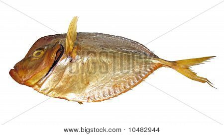 Füme Moonfish, Balık, tedavi (mola Mola)