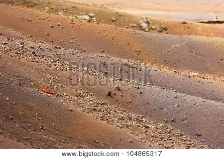 Multicolored sand in the jungle