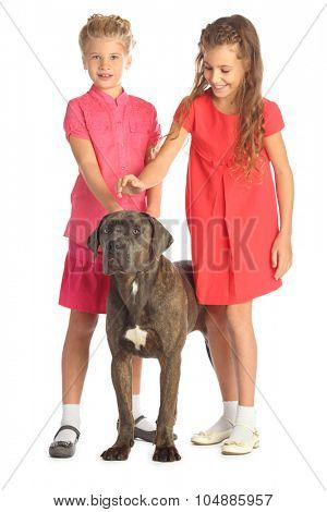 Two beautiful girls joyfully stroking a big dogs head isolated on white. Focus on the dog